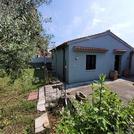 Apartman Tea 944 *